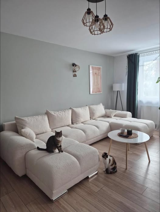 DUŻY NAROŻŃIK TAPICEROWANY XL HONEY U Z FUNKCJA SPANIA I POJEMNIKIEM NA POŚCIEL TKANINA Centaur 1 Bounce PLAMOODPORNA 5 KOLORÓW W PROMOCJI